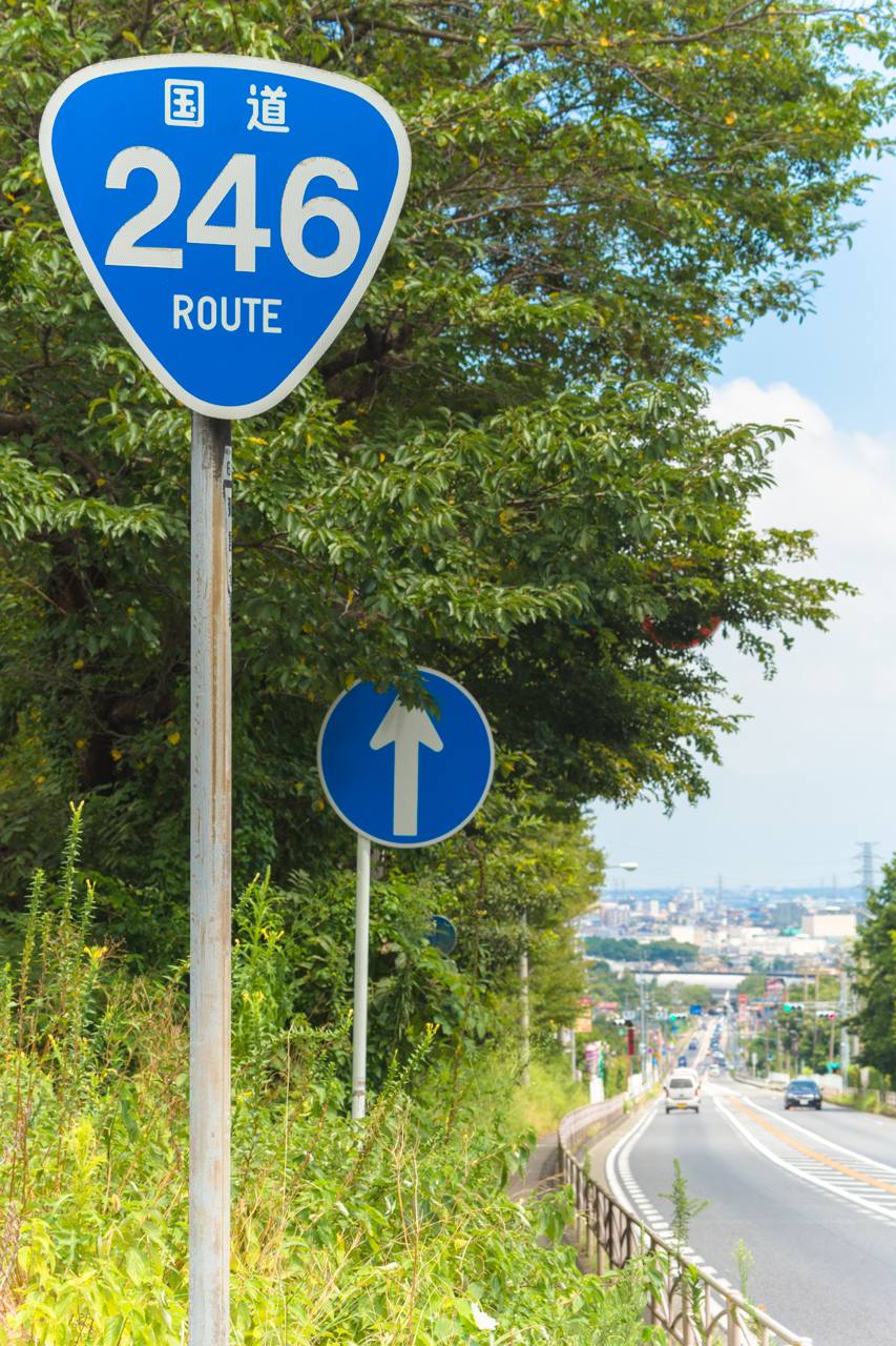 伊勢原市 国道246号 善波の坂道 道路名勝map